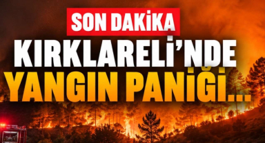 Son Dakika Kırklareli’nde Yangın Paniği… 
