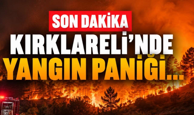 Son Dakika Kırklareli’nde Yangın Paniği…