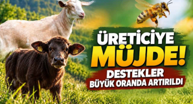 Üreticiye Müjde! Destekler Büyük Oranda Artırıldı