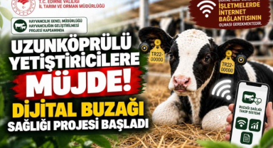 Uzunköprülü Yetiştiricilere Müjde! Dijital Buzağı Sağlığı Projesi Başladı