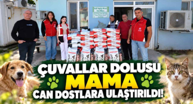 Çuvallar Dolusu Mama Can Dostlara Ulaştırıldı! 