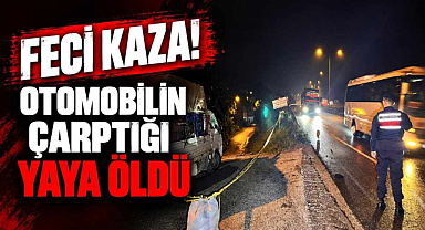 Feci Kaza! Otomobilin Çarptığı Yaya Öldü 