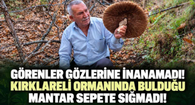 Görenler Gözlerine İnanamadı! Kırklareli Ormanında Bulduğu Mantar Sepetine Sığmadı!