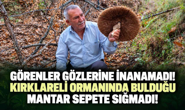Görenler Gözlerine İnanamadı! Kırklareli Ormanında Bulduğu Mantar Sepetine Sığmadı!