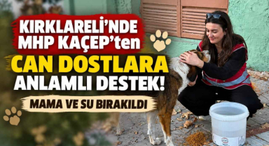 Kırklareli’nde MHP KAÇEP’ten Can Dostlara Anlamlı Destek! Mama ve Su Bırakıldı