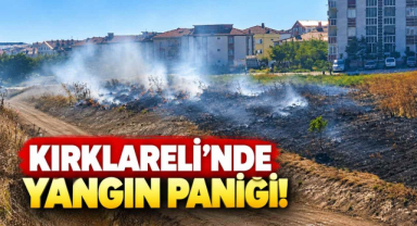 Kırklareli'nde Yangın Paniği!