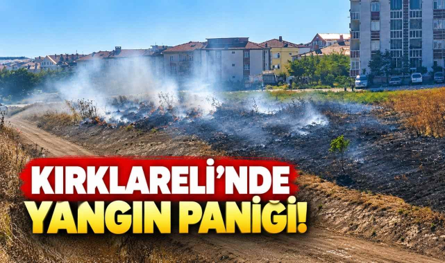 Kırklareli'nde Yangın Paniği!