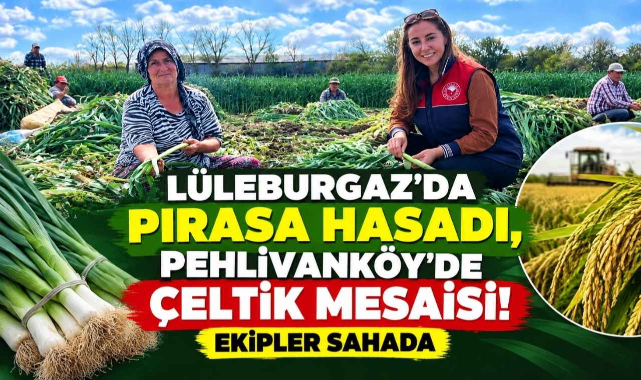 Lüleburgaz'da Pırasa Hasadı, Pehlivanköy'de Çeltik Mesaisi! Ekipler Sahada