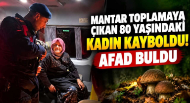 Mantar Toplamaya Çıkan 80 Yaşındaki Kadın Kayboldu! AFAD Buldu