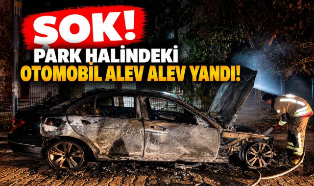 Şok! Park Halindeki Otomobil Alev Alev Yandı!