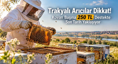 Trakyalı Arıcılar Dikkat! Kovan Başına 250 TL Destekte Son Tarih Yaklaşıyor