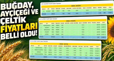 Uzunköprü'de Buğday, Ayçiçeği ve Çeltik Kaç Liradan Satıldı?