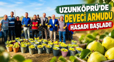 Uzunköprü'de Deveci Armudu Hasadı Başladı!