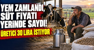 Yem Zamlandı, Süt Fiyatı Yerinde Saydı! Üretici 30 Lira İstiyor