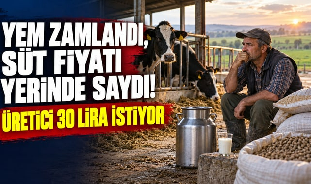 Yem Zamlandı, Süt Fiyatı Yerinde Saydı! Üretici 30 Lira İstiyor