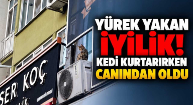 Yürek Yakan İyilik! Kedi Kurtarırken Canından Oldu