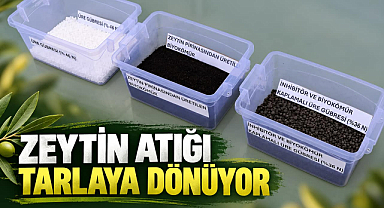 Zeytin Atığı Trakya'nın Tarlasına Gübre Olacak