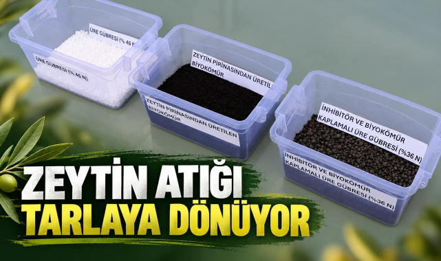 Zeytin Atığı Trakya'nın Tarlasına Gübre Olacak